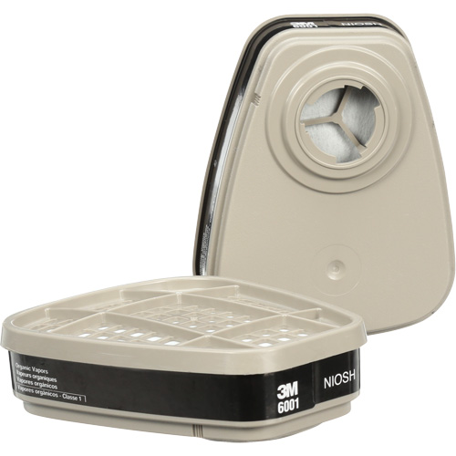 Cartouches pour respirateur s&eacute;rie 6000, Cartouche gaz/vapeur, Vapeur organique PB Rental Co. Ltd.