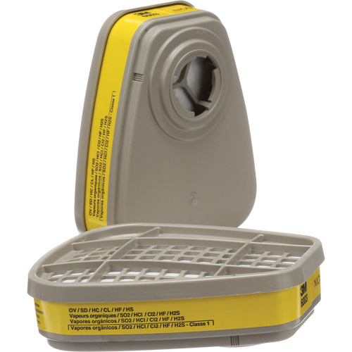 Cartouches pour respirateur s&eacute;rie 6000, Cartouche gaz/vapeur, Vapeurs organiques/Gaz acides PB Rental Co. Ltd.
