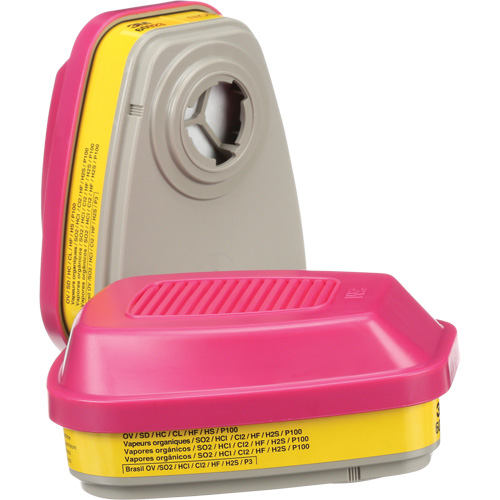 Cartouches pour respirateur s&eacute;rie 6000, Cartouche gaz/vapeur, Vapeurs organiques/Gaz acides/P100 PB Rental Co. Ltd.