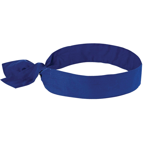 Foulards de refroidissement Chill-Its 6700, Bleu PB Rental Co. Ltd.