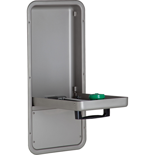 Eye/Face Wash Station, Wall-Mount Installation, Stainless Steel Bowl PB Rental Co. Ltd.