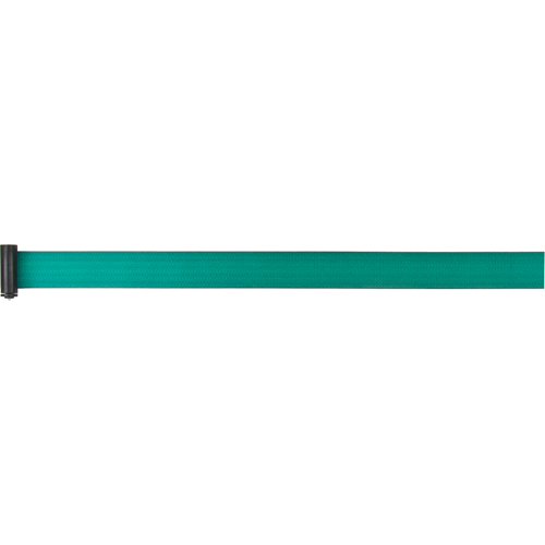 Tape Cassettes for Build-Your-Own Crowd Control Barriers, 7', Green Tape PB Rental Co. Ltd.