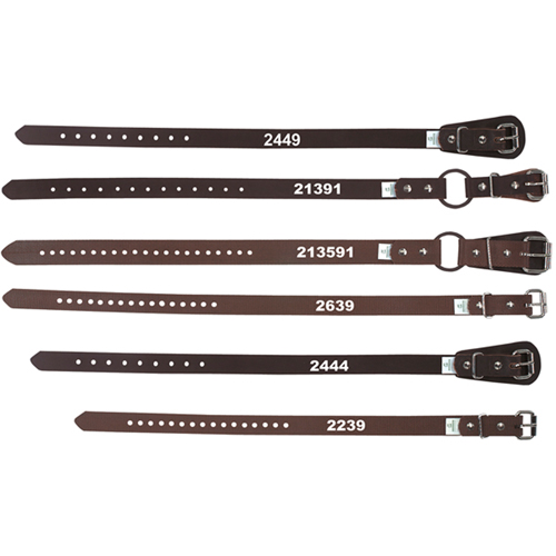Climber's Ankle Straps PB Rental Co. Ltd.