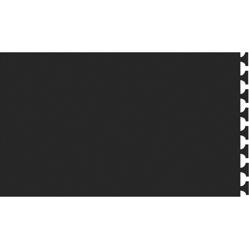 Rejuvenator&reg; Male Mat No. 502, Urethane, 2' W x 5' L, 5/8" Thick, Black PB Rental Co. Ltd.