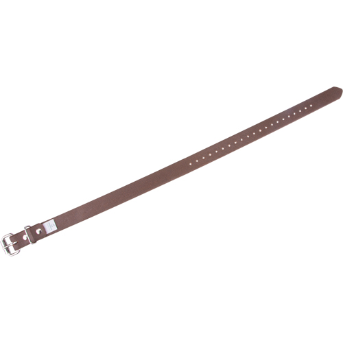 Leg Straps PB Rental Co. Ltd.