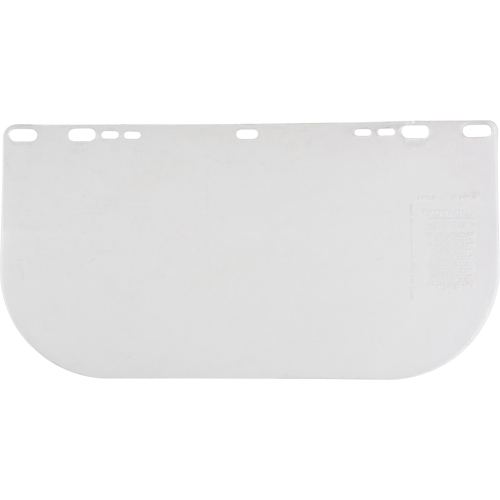 F20 Clear Flat Faceshield, Polycarbonate, Clear Tint PB Rental Co. Ltd.