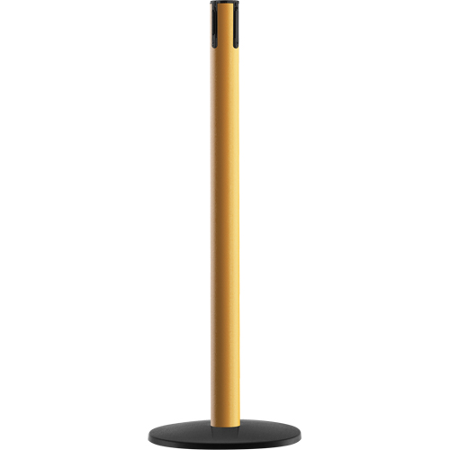 Syst&egrave;me Advance TensaBarrier - Poteau r&eacute;cepteur, Hauteur de 36", Jaune PB Rental Co. Ltd.