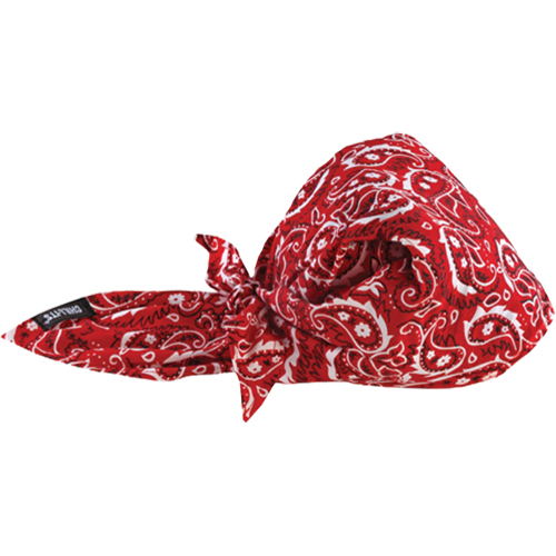 Bandeaux en triangle 6710CT de refroidissement en tissu de serviette Chill-Its, Rouge PB Rental Co. Ltd.