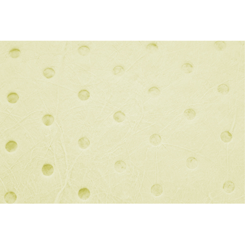 Industrial-Grade Fine Fibre Sorbent Rolls, Heavyweight, 150' L x 15" W, 35 Gal. Absorbancy PB Rental Co. Ltd.