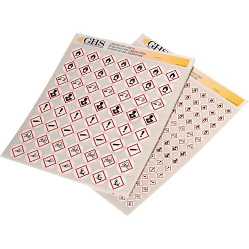 Assortiment d'&eacute;tiquettes avec pictogrammes sgh, Vinyle, Feuille, 1/2" lo x 1/2" la PB Rental Co. Ltd.
