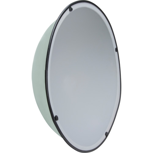 360° Dome Mirror, Full Dome, Open Top, 20" Diameter PB Rental Co. Ltd.