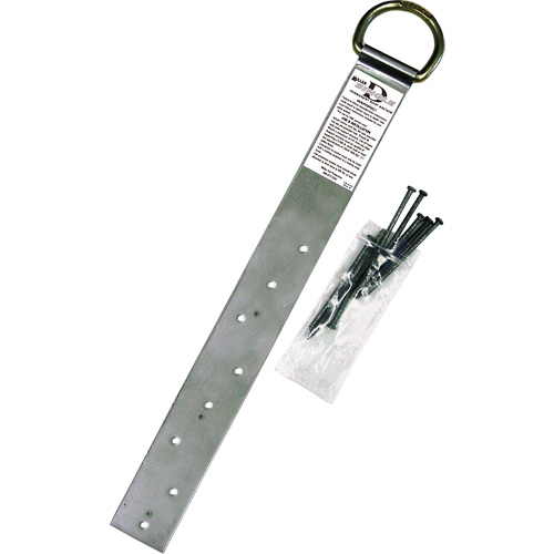 Miller&reg; Single Roof Anchor, D-Ring, Permanent Use PB Rental Co. Ltd.