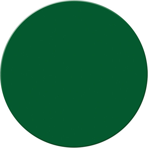 Armor Stripe Lean/5S Markers, Circle, 6" L x 6" W, Green, Plastic PB Rental Co. Ltd.