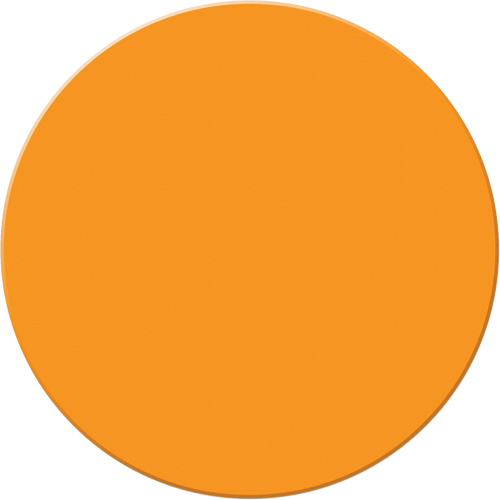 Marqueurs all&eacute;g&eacute;e/5S Armor Stripe, Cercle, 6" lo x 6" la, Orange, Plastique PB Rental Co. Ltd.