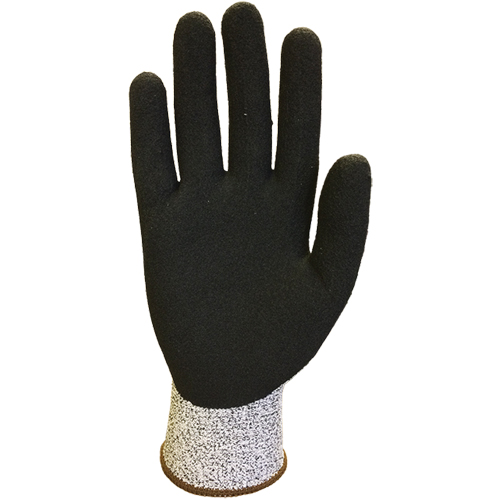 Gants r&eacute;sistant aux coupures S043, 10/T-Grand, Calibre 13, Rev&ecirc;tement Nitrile/Latex de caoutchouc, ANSI/ISEA 105 niveau 3 PB Rental Co. Ltd.