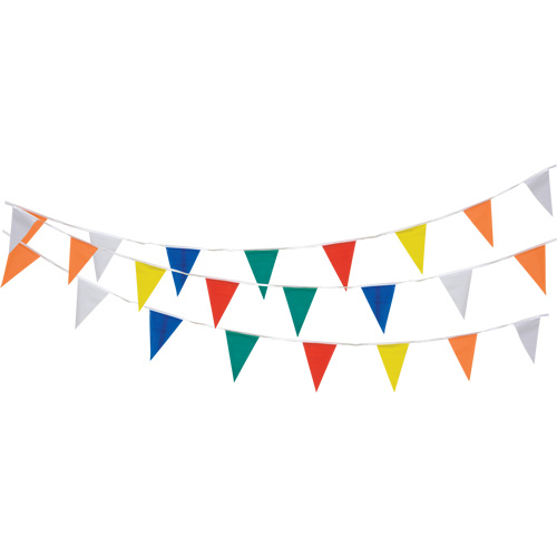 Pennant String, 60' L, Multicolour PB Rental Co. Ltd.