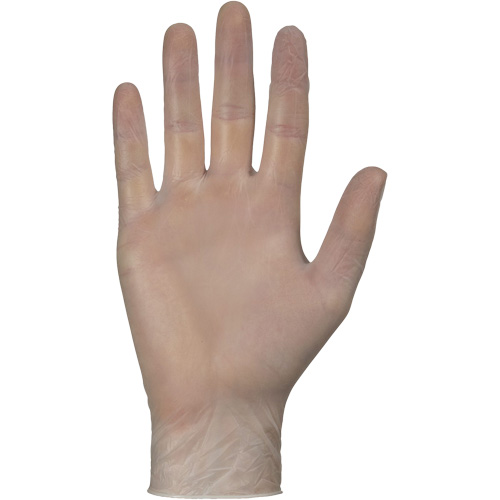 Disposable Gloves, Small, Vinyl, 4-mil, Powder-Free, White PB Rental Co. Ltd.