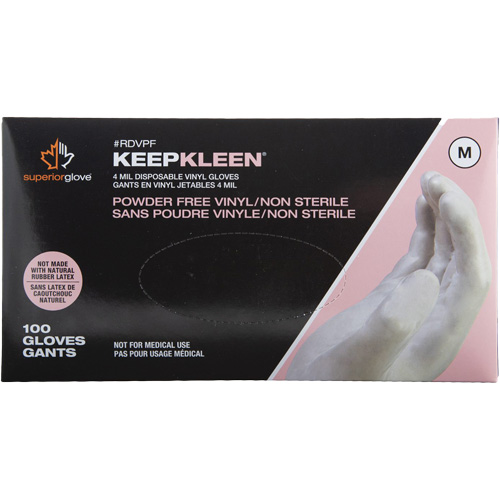 Disposable Gloves, Small, Vinyl, 4-mil, Powder-Free, White PB Rental Co. Ltd.