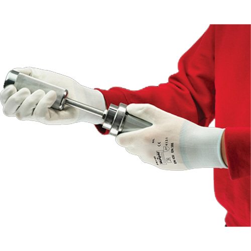 PX140 Coated Gloves, 6/X-Small, Polyurethane Coating, 15 Gauge, Nylon Shell PB Rental Co. Ltd.