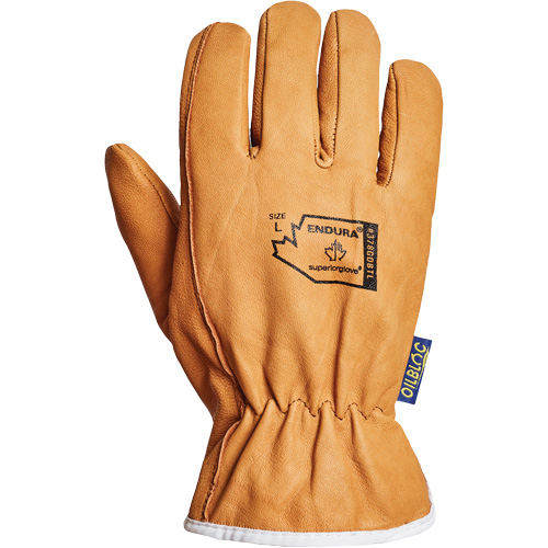 Endura&reg; Driver's Glove, Small, Grain Goatskin Palm, Thinsulate Inner Lining PB Rental Co. Ltd.