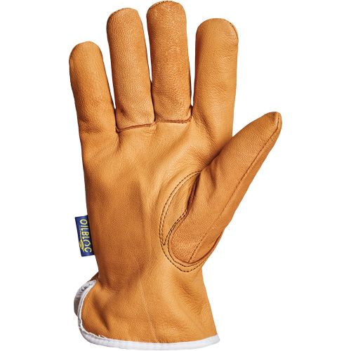 Endura&reg; Driver's Glove, Small, Grain Goatskin Palm, Thinsulate Inner Lining PB Rental Co. Ltd.