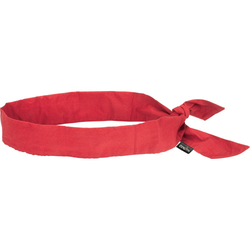 Cooling Bandana, Red PB Rental Co. Ltd.