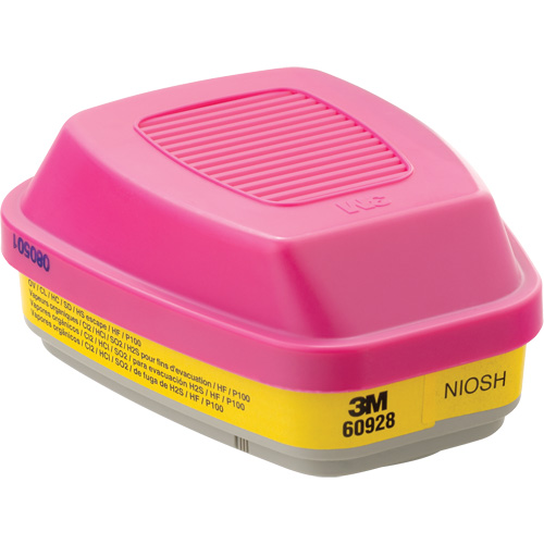 Cartouche/filtre pour respirateur, Cartouche gaz/vapeur, Vapeurs organiques/Gaz acides/P100 PB Rental Co. Ltd.