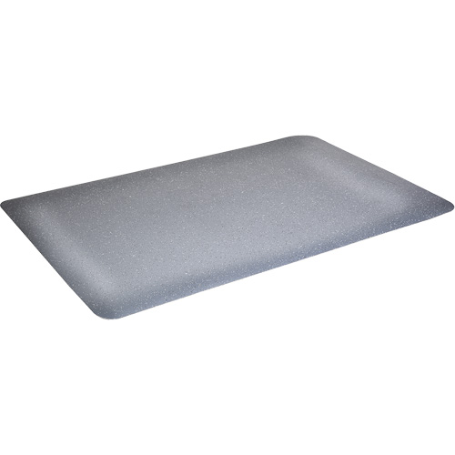 Tapis antimicrobiens WD Foodmaster, Lisse, 3' x 4' x 9/16", Gris, Nitrile/Caoutchouc PB Rental Co. Ltd.