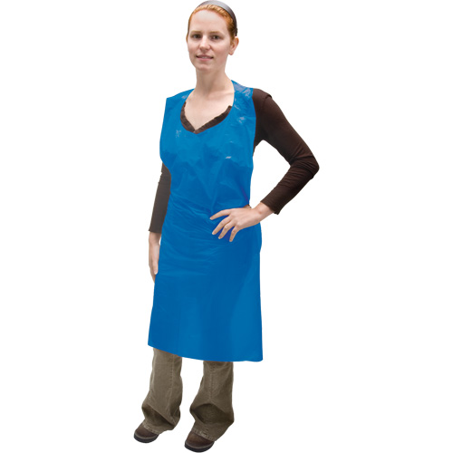 Polyethylene Apron, Polyethylene, Blue, 35" W x 46" L PB Rental Co. Ltd.