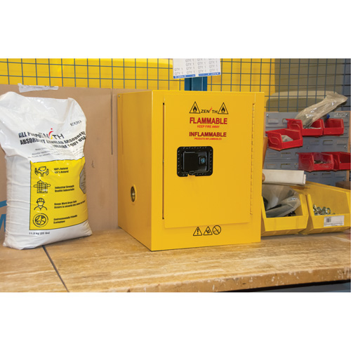 Flammable Storage Cabinet, 4 gal., 1 Door, 17" W x 22" H x 18" D PB Rental Co. Ltd.