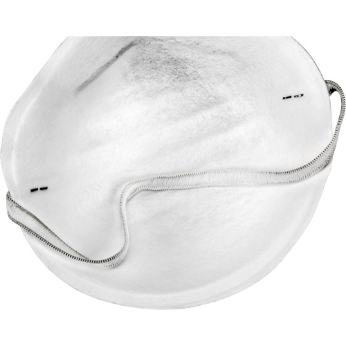 Disposable Nuisance Dust Mask PB Rental Co. Ltd.