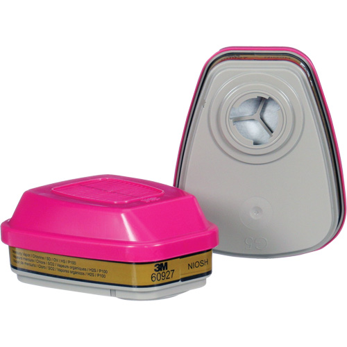 Cartouche, Combinaison cartouche et filtre contre les particules pour gaz/vapeurs, Gaz multiples/Vapeurs/P100 PB Rental Co. Ltd.