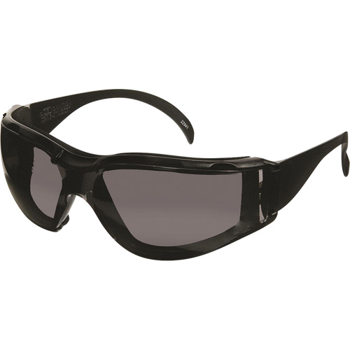 Lunettes de s&eacute;curit&eacute; CeeTec DX, Lentille Gris, Antibu&eacute;e/Anti-&eacute;gratignures, R&eacute;pond ou surpasse la norme CSA Z94.3 PB Rental Co. Ltd.