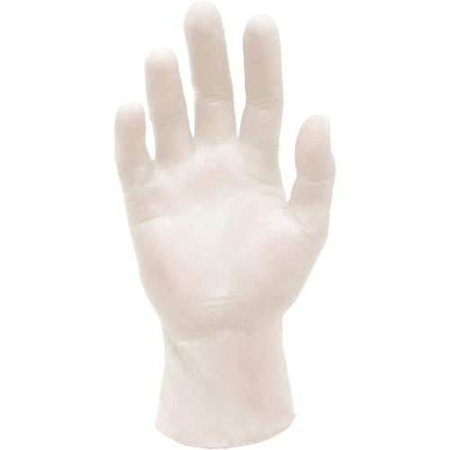 Synthetic Stretch Medical Examination Gloves, Large, Vinyl, 5-mil, Powder-Free, White, Class 2 PB Rental Co. Ltd.