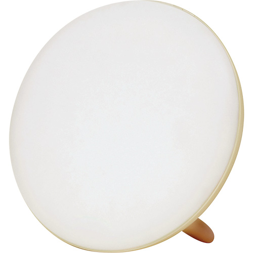 Jumbo Therapy Light for Seasonal Affective Disorder PB Rental Co. Ltd.