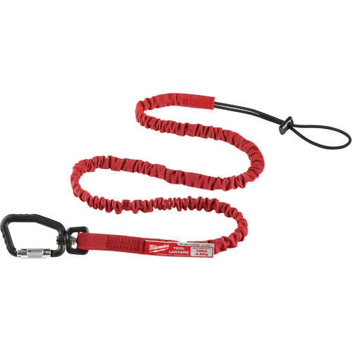 Longe verrouillable pour outils &agrave; port&eacute;e &eacute;tendue, Tendeur, Mousqueton/boucle PB Rental Co. Ltd.