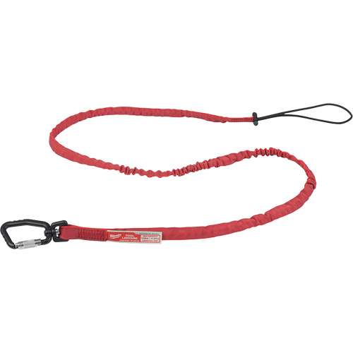 Extended Reach Locking Tool Lanyard, Bungee, Carabiner/Loop PB Rental Co. Ltd.