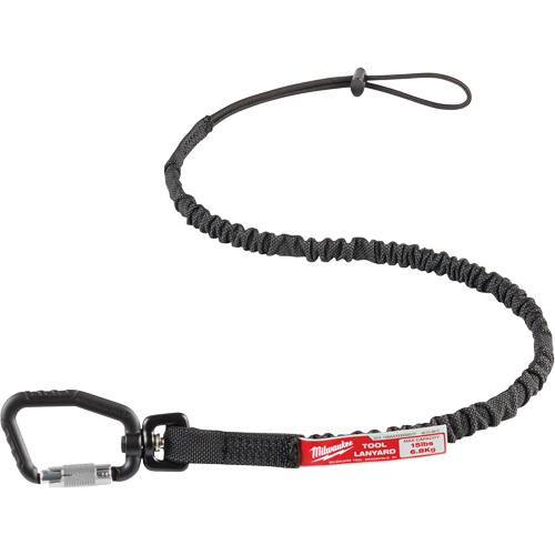 Locking Tool Lanyard, Bungee, Carabiner/Loop PB Rental Co. Ltd.