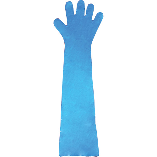 Disposable Gloves, Polyethylene, Powder-Free, Blue PB Rental Co. Ltd.