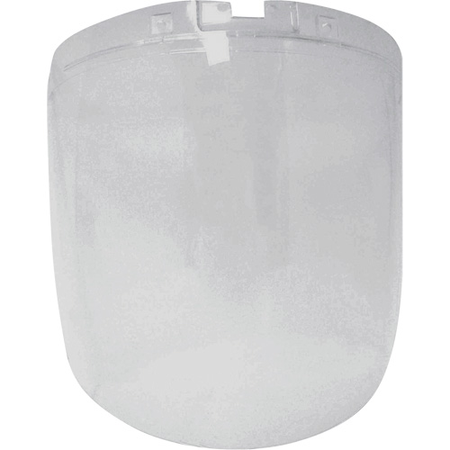 DP4 Series Replacement Anti-Fog Faceshield, Polycarbonate, Clear Tint PB Rental Co. Ltd.