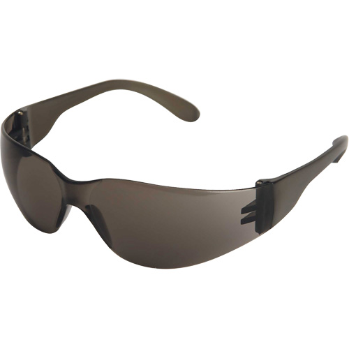 X300 Safety Glasses, Smoke Lens, Anti-Scratch, ANSI Z87+/Meets/Exceeds CSA Z94.3 PB Rental Co. Ltd.