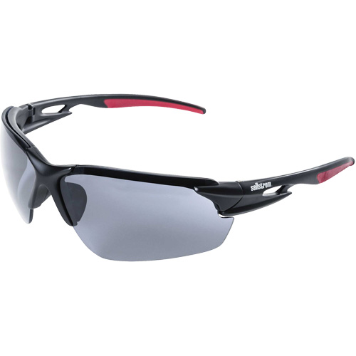XP450 Safety Glasses, Smoke Lens, Anti-Fog/Anti-Scratch PB Rental Co. Ltd.