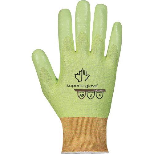 Hi-Viz S18TAXFN Cut-Resistant Gloves, Size 6, 18 Gauge, Foam Nitrile Coated, TenActiv Shell, ASTM ANSI Level A9 PB Rental Co. Ltd.