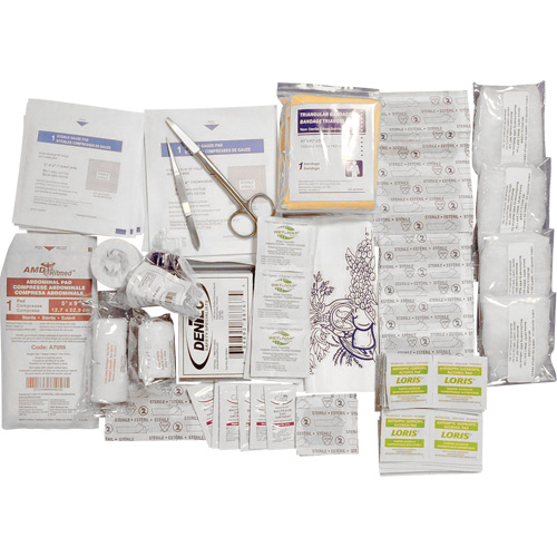 Trousse de premiers soins de base et recharge Shield, R&eacute;pond &agrave; la norme CSA Z1220-17 type 2 environnements &agrave; faible risque, Petit (2-25 travailleurs) PB Rental Co. Ltd.