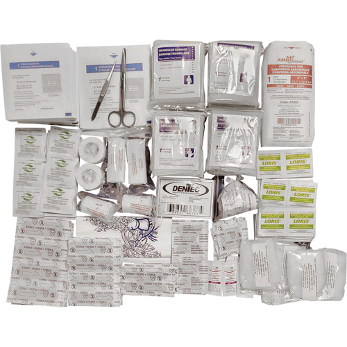Trousse de premiers soins de base et recharge Shield, R&eacute;pond &agrave; la norme CSA Z1220-17 type 2 environnements &agrave; faible risque, Grand (51-100 travailleurs) PB Rental Co. Ltd.