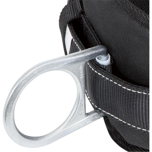 WB-6020-XL Dispositif de retenue de s&eacute;curit&eacute; avec ceinture &agrave; deux anneaux en D et support lombaire rembourr&eacute; - T-grand PB Rental Co. Ltd.