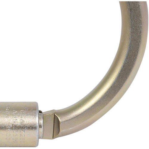 CP-04011-1 Zinc Plated Carabiner with 2" Gate Opening, Steel PB Rental Co. Ltd.