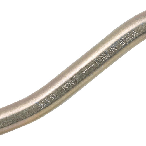 CP-04011-1 Zinc Plated Carabiner with 2" Gate Opening, Steel PB Rental Co. Ltd.