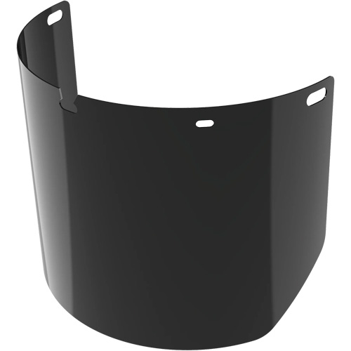 Lentille de rechange pour visi&egrave;re compl&egrave;te sans rev&ecirc;tement, Polycarbonate, Teinte 5,0 PB Rental Co. Ltd.