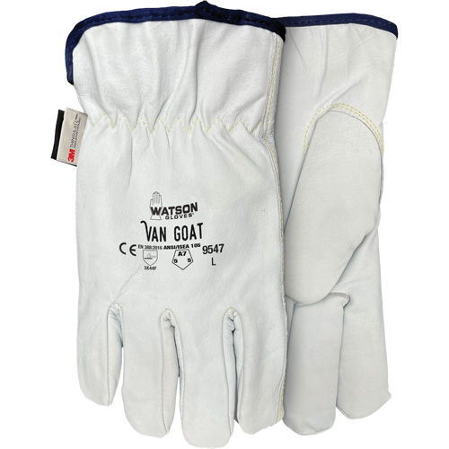 9547 Van Goat Cut Protection Gloves, X-Small, Grain Goatskin Palm, Thinsulate/Steel/Polyester/Para-Aramid Inner Lining PB Rental Co. Ltd.